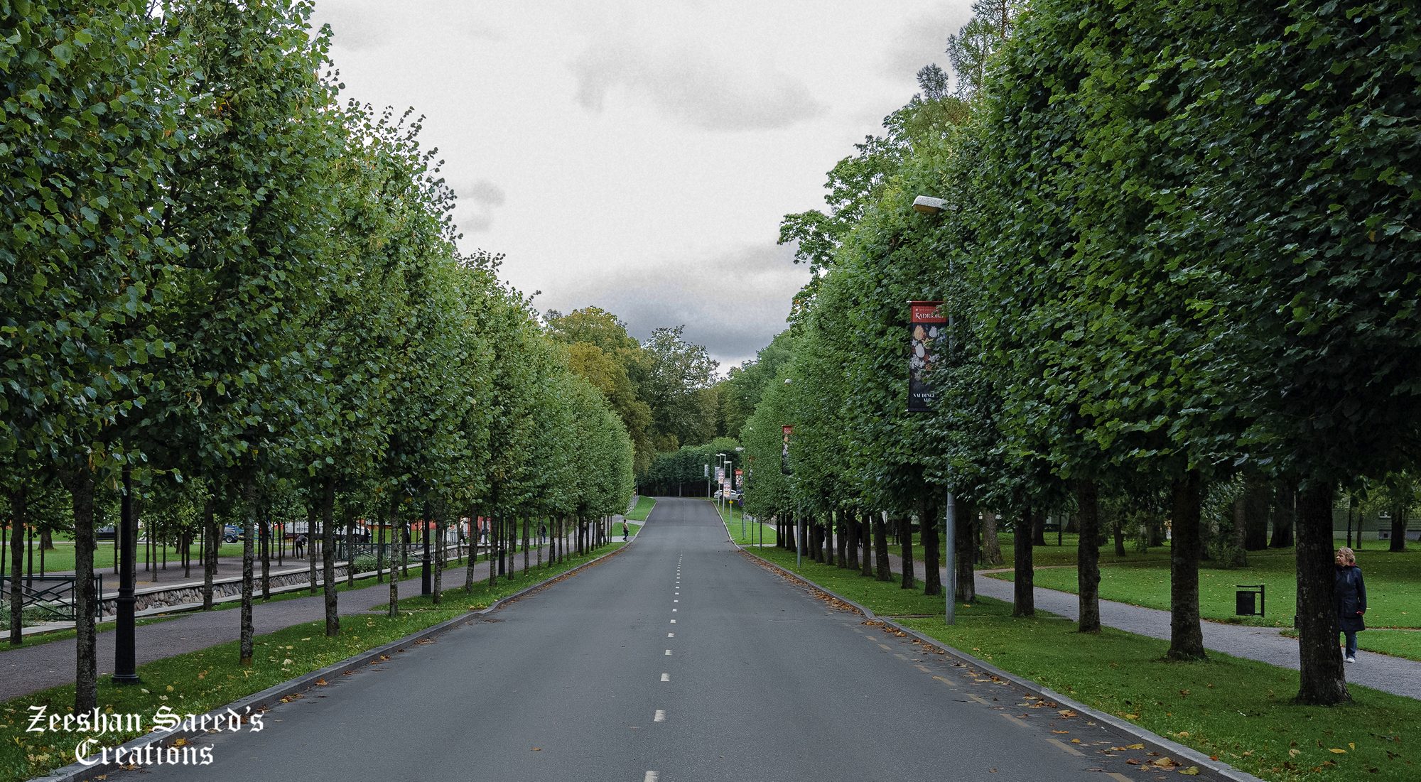 Tree-lined avenue in Kadriorg Park
